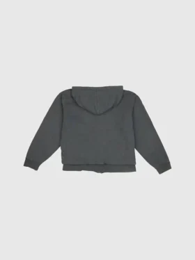 Ανδρικό φούτερ Gapvintage 2001 – L