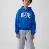 Αποκτήστε το παιδικό φούτερ με κουκούλα Blue Kids Vintagesoft Relaxed