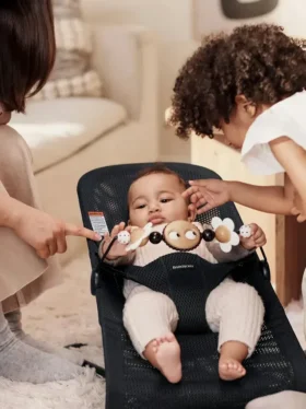 Babybjorn Baby Bouncer Googly Eyes Toy
