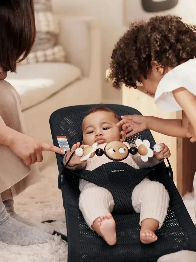 Babybjorn Baby Bouncer Googly Eyes Toy