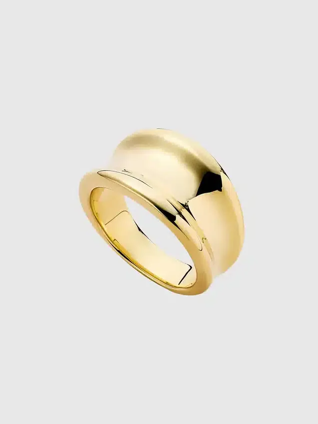 Δαχτυλίδι Ana Luisa Gold Wade