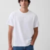 Ενήλικων, βαρύ, χαλαρό T-shirt με λογότυπο