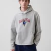 Φούτερ με κουκούλα Vintagesoft Oversized Americana Logo