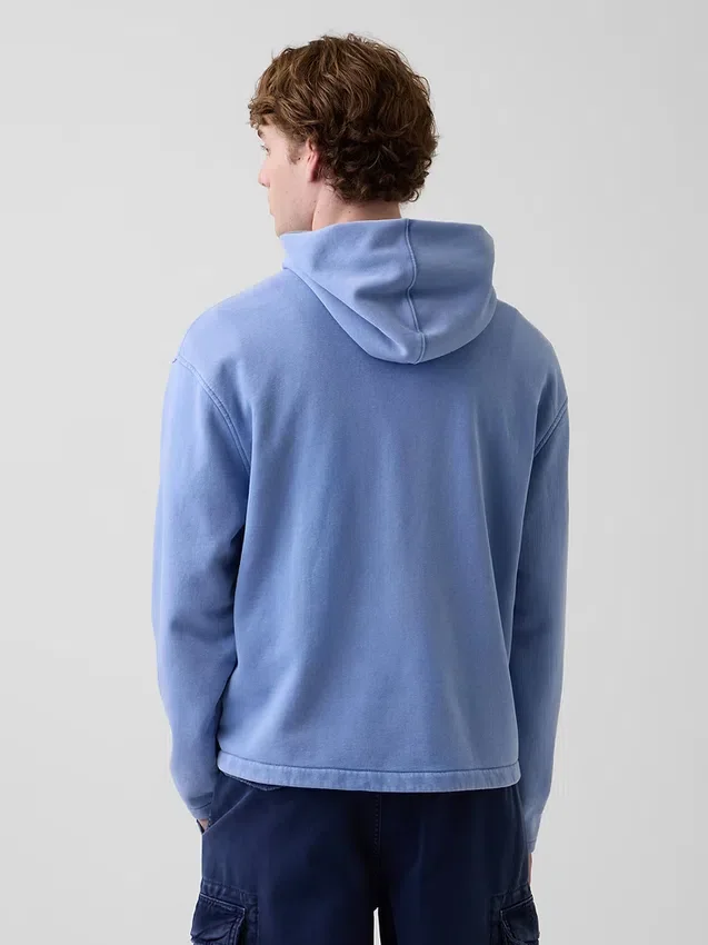 Φούτερ με κουκούλα Vintagesoft Oversized Americana Logo