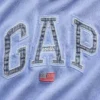 Φούτερ με κουκούλα Vintagesoft Oversized Americana Logo