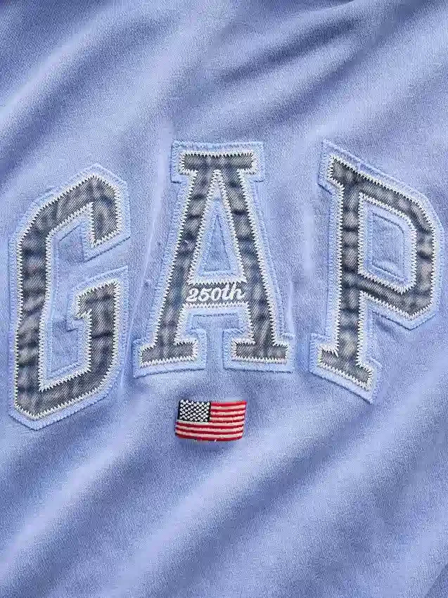 Φούτερ με κουκούλα Vintagesoft Oversized Americana Logo