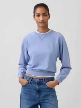 Φούτερ Vintagesoft Terry Raglan