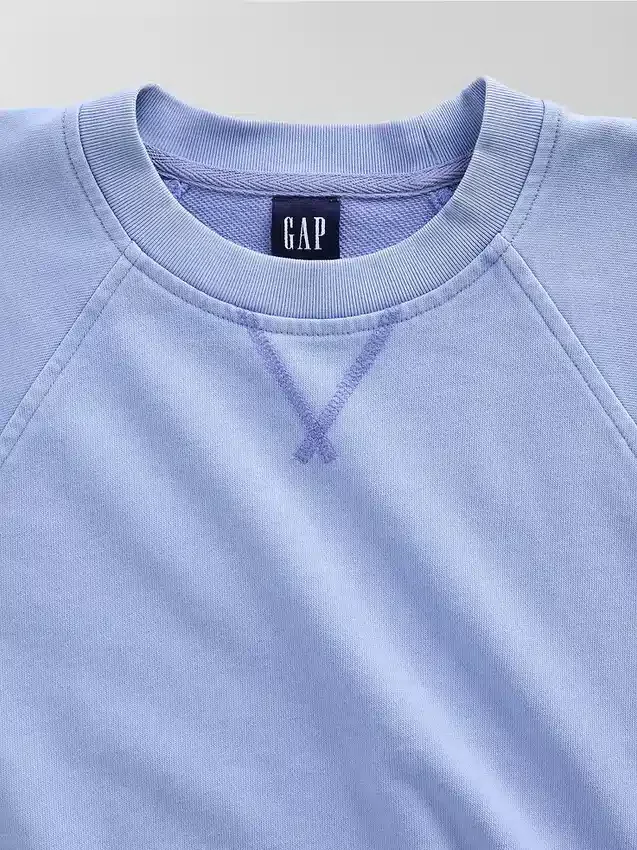 Φούτερ Vintagesoft Terry Raglan