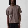 Κοντό βαρέως βάρους T-shirt για ενήλικες