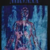 Μπλούζα με γραφικά Nirvana, βαριάς ποιότητας και κοντό μήκος