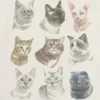 Παιδικό T-shirt με γραφικά «Cat Faces»