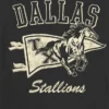 Παιδικό T-shirt με γραφικό «Dallas Stallions»