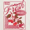 Παιδικό T-shirt με σχέδιο «Farm Fresh Cherries»
