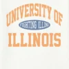 T-shirt με vintage γραφικό «Fighting Illini» του Πανεπιστημίου του Ιλινόις