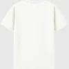 T-shirt με vintage γραφικό «Fighting Illini» του Πανεπιστημίου του Ιλινόις