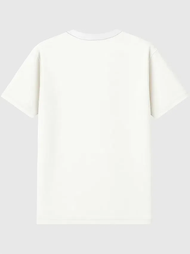 T-shirt με vintage γραφικό «Fighting Illini» του Πανεπιστημίου του Ιλινόις