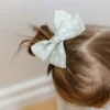 Το σετ κλιπ με φιόγκους «Abigail»